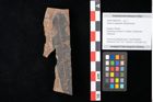 Foto (Objekt + Etikett) von Quercus palaeoilex Ettingshausen (NHMW-GEO-2024-0188-0790)